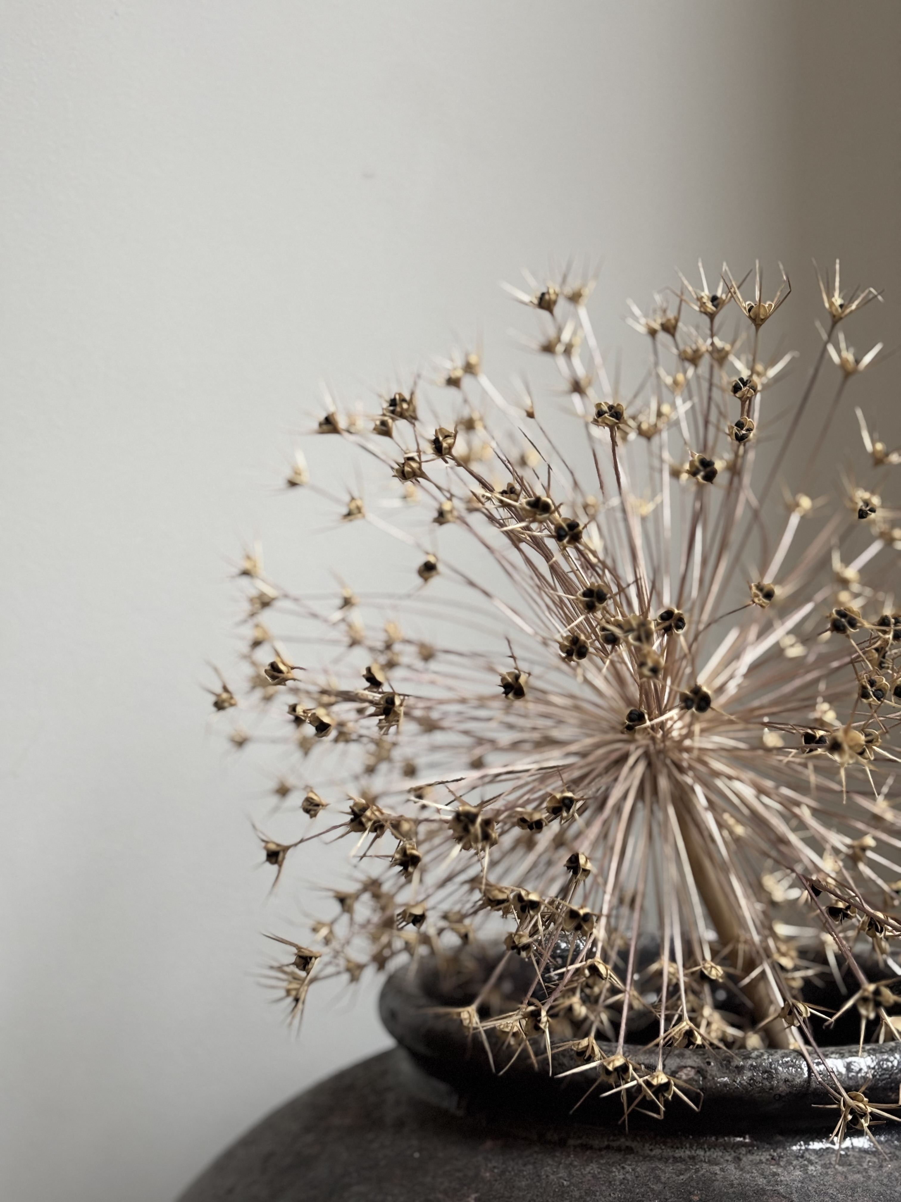 Bloemen in huis: vers en gedroogd