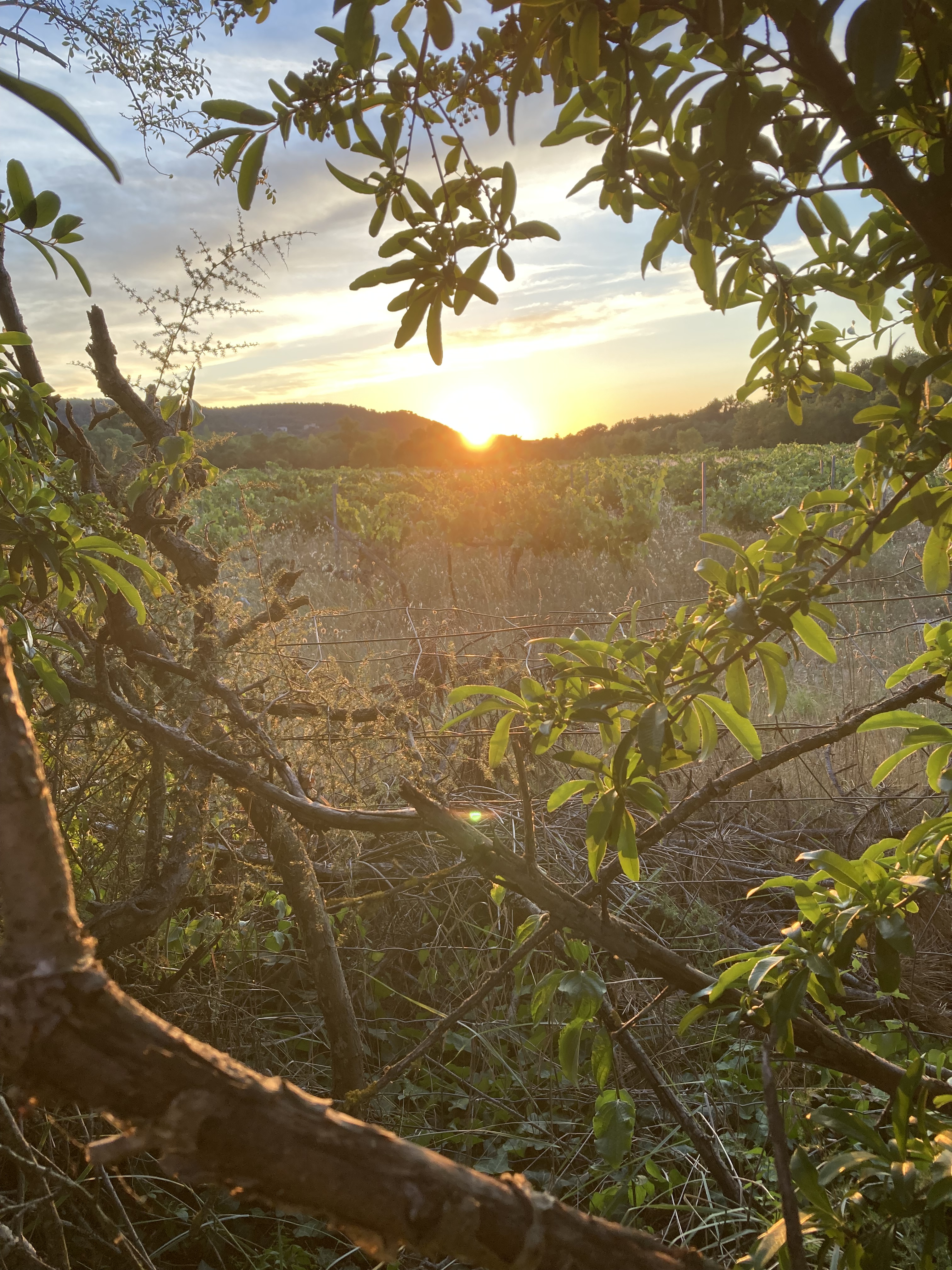 Mijn eerste kus, op z’n Frans