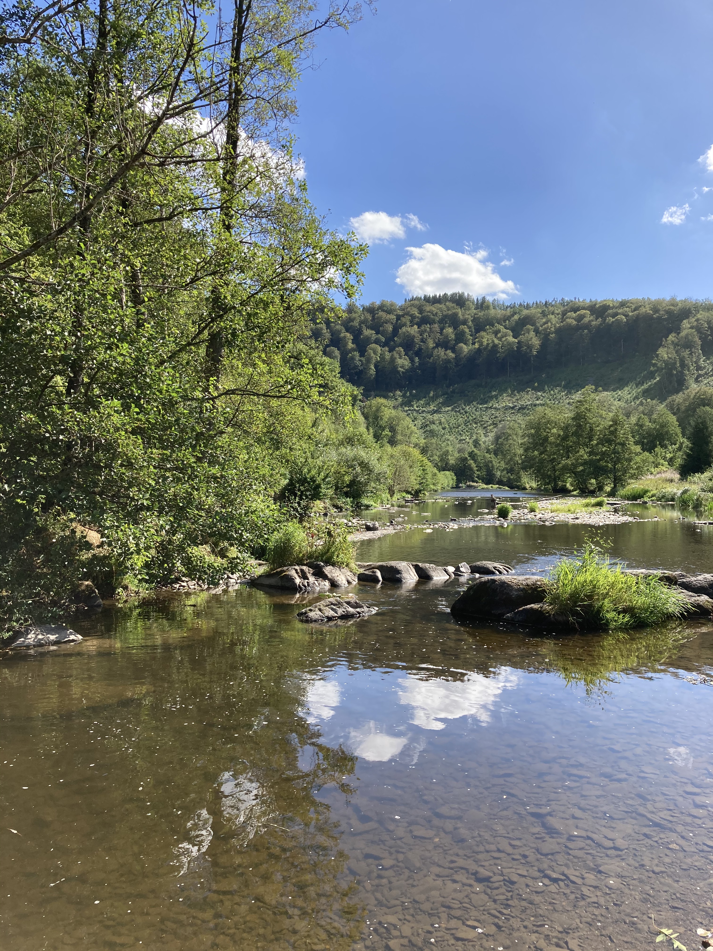 Wandelen en genieten in de Belgische natuur