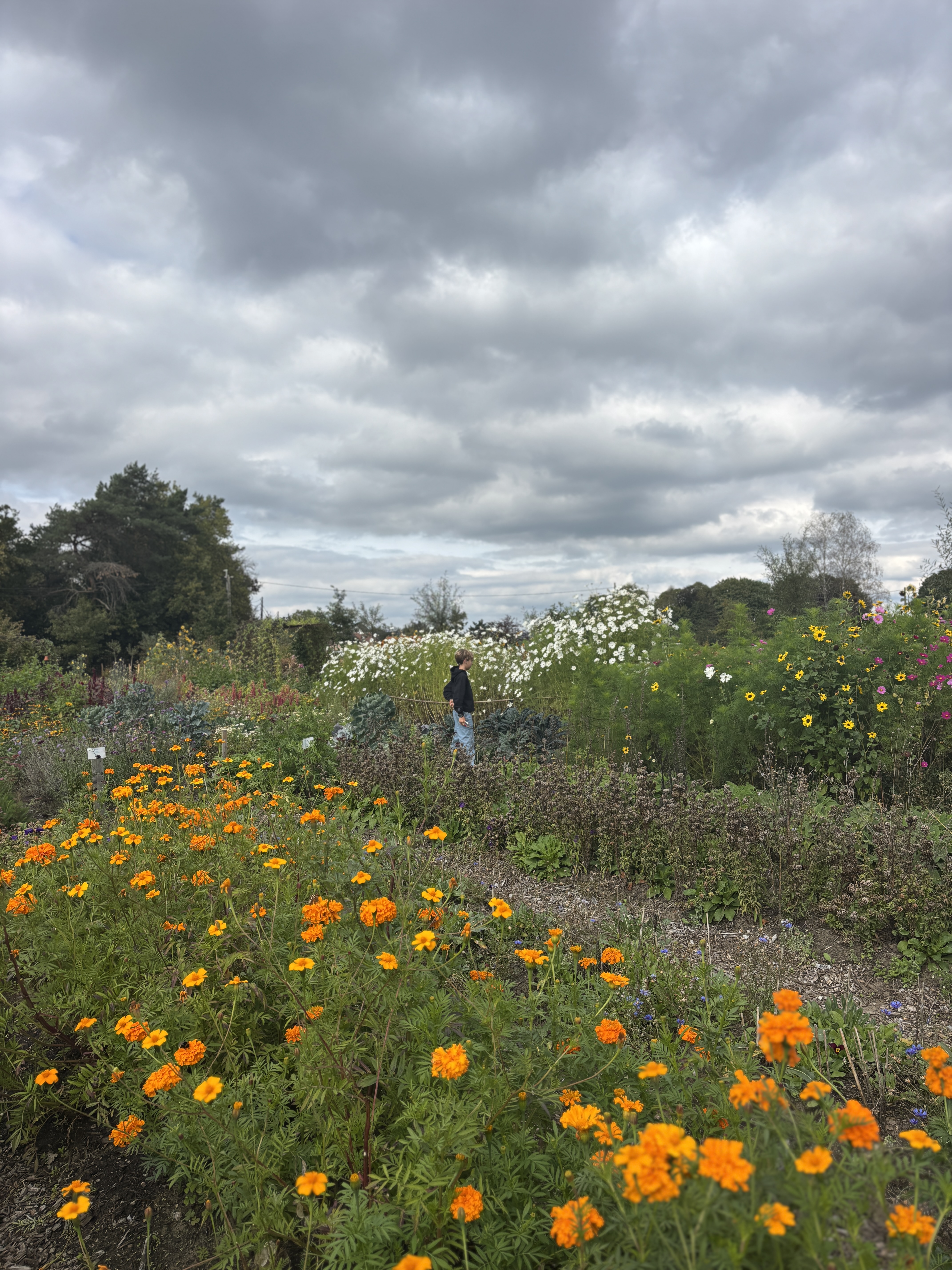 Een portie bloemengeluk – op bezoek in een pluktuin in Kessel