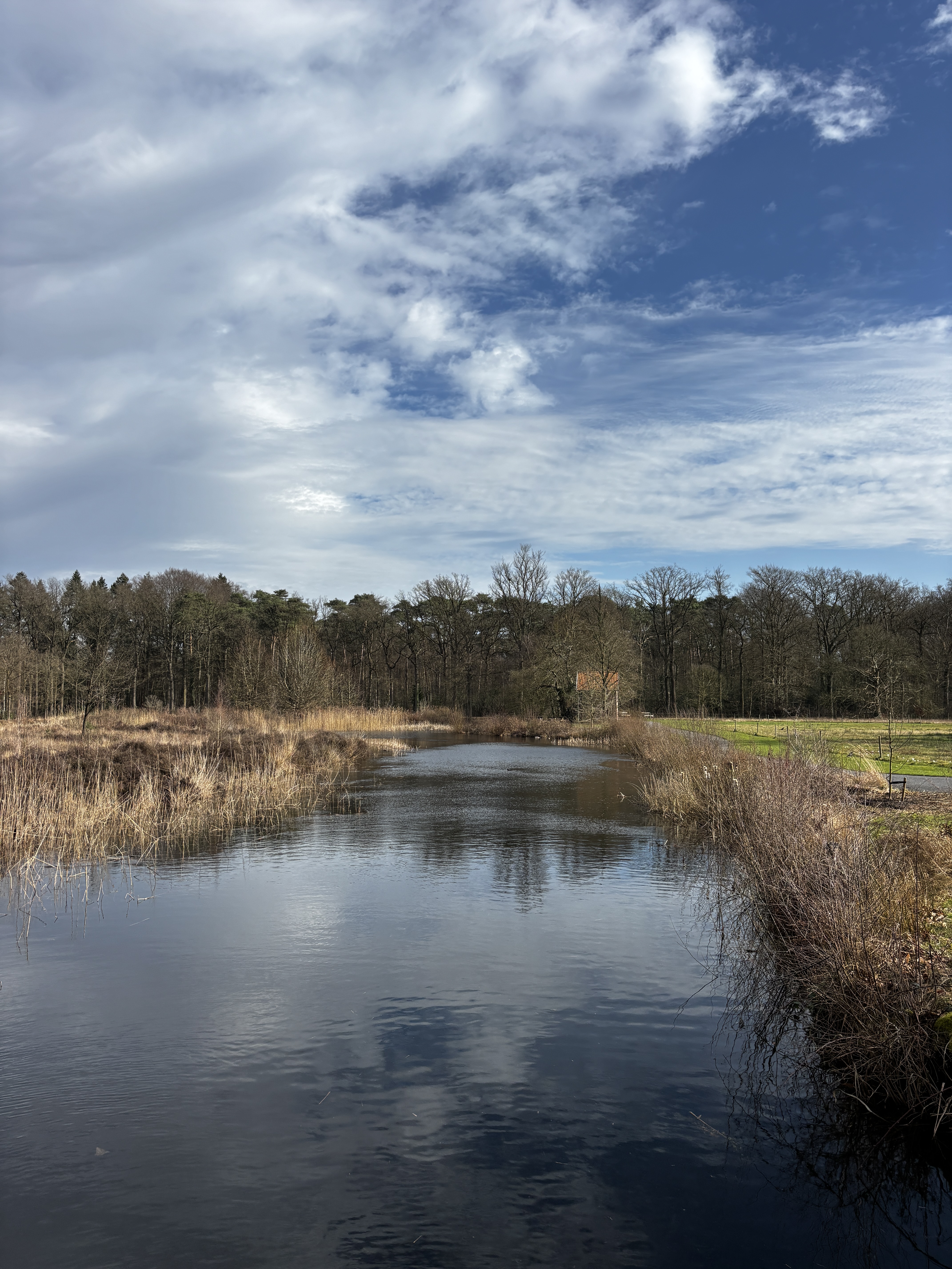 Wandelen in Ranst: kort bezoek aan Vrieselhof