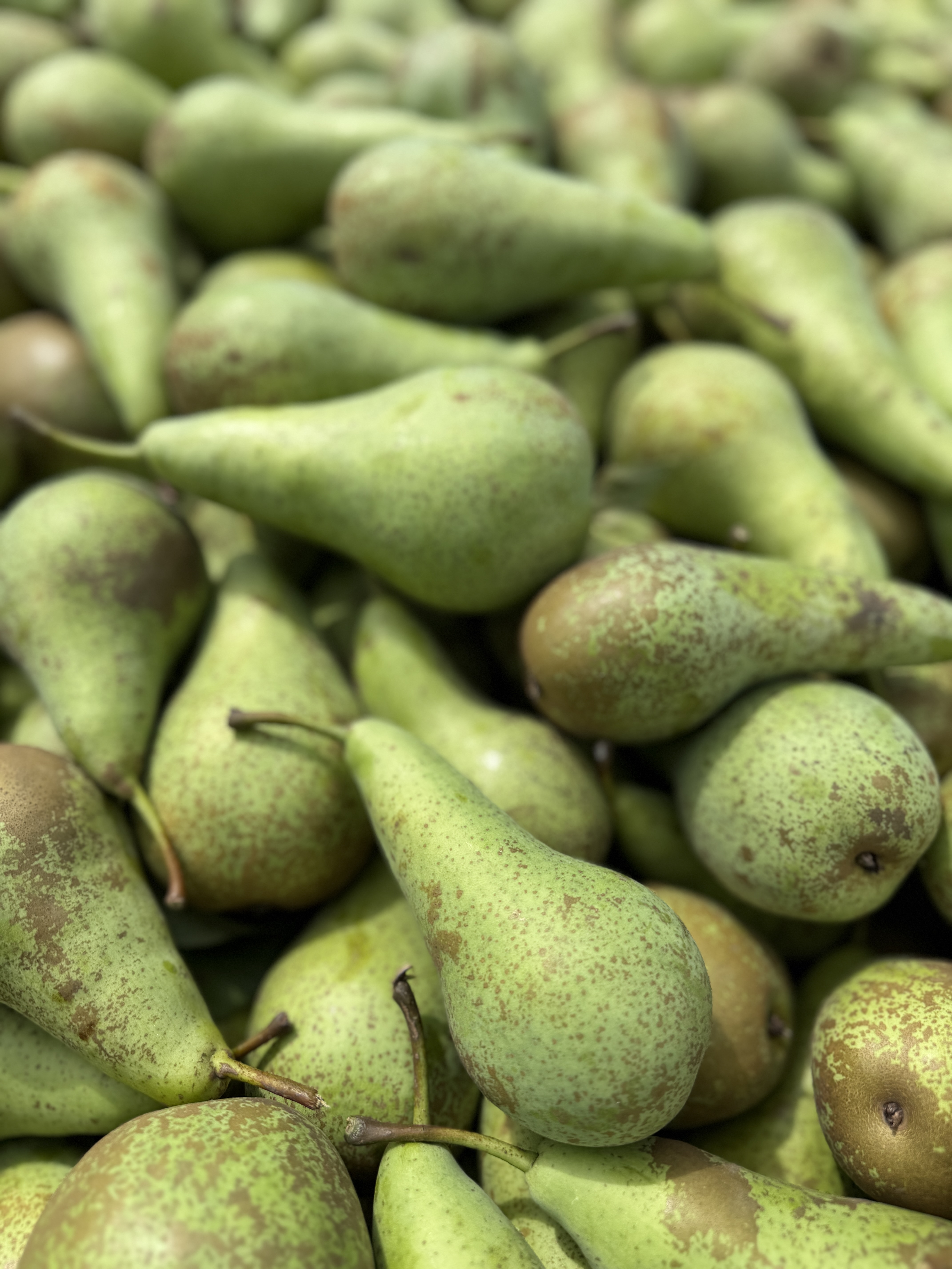 Dag van de landbouw bij LemBiFruit